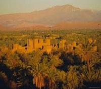 Skoura Palm grove